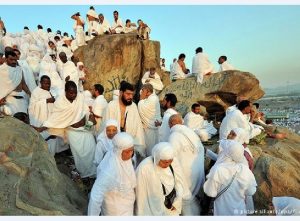 Hadzinici Se Vratio Vid