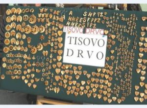 Drvo Tisovina