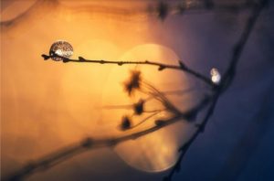 Prica Subhanallah Pokajanje