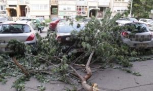 Dova Kada Puse Vjetar