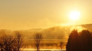 MeleciDonosenjeSalavata