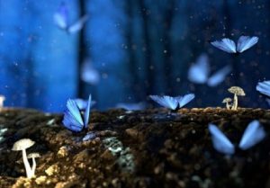 Nagrada Za Dobro Djelo