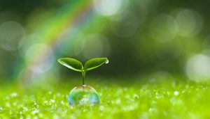 Allah Dobrocinstvo Ljudi