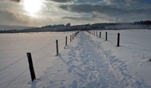 Allahovo Stvaranje Snijeg